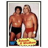 Lot of 16 1985 Topps Wrestling Cards WWF | Rowdy Roddy Piper Brutus Beefcake Jimmy Superfly Snuka Junkyard Dog Iron Sheik & More