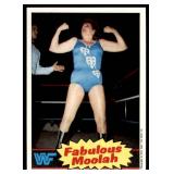 Lot of 16 1985 Topps Wrestling Cards WWF | Rowdy Roddy Piper Brutus Beefcake Jimmy Superfly Snuka Junkyard Dog Iron Sheik & More