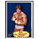Lot of 16 1985 Topps Wrestling Cards WWF | Rowdy Roddy Piper Brutus Beefcake Jimmy Superfly Snuka Junkyard Dog Iron Sheik & More