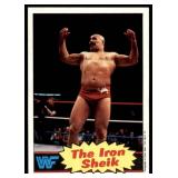 Lot of 16 1985 Topps Wrestling Cards WWF | Rowdy Roddy Piper Brutus Beefcake Jimmy Superfly Snuka Junkyard Dog Iron Sheik & More
