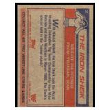 Lot of 16 1985 Topps Wrestling Cards WWF | Rowdy Roddy Piper Brutus Beefcake Jimmy Superfly Snuka Junkyard Dog Iron Sheik & More