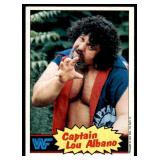 Lot of 16 1985 Topps Wrestling Cards WWF | Rowdy Roddy Piper Brutus Beefcake Jimmy Superfly Snuka Junkyard Dog Iron Sheik & More