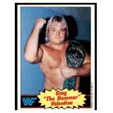 Lot of 16 1985 Topps Wrestling Cards WWF | Rowdy Roddy Piper Brutus Beefcake Jimmy Superfly Snuka Junkyard Dog Iron Sheik & More