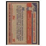 Lot of 16 1985 Topps Wrestling Cards WWF | Rowdy Roddy Piper Brutus Beefcake Jimmy Superfly Snuka Junkyard Dog Iron Sheik & More