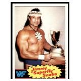 Lot of 16 1985 Topps Wrestling Cards WWF | Rowdy Roddy Piper Brutus Beefcake Jimmy Superfly Snuka Junkyard Dog Iron Sheik & More