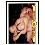 Lot of 35 1985 Topps Wrestling Cards WWF | Hogan Piper Ventura Iron Sheik & More