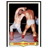 Lot of 35 1985 Topps Wrestling Cards WWF | Hogan Piper Ventura Iron Sheik & More