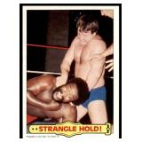 Lot of 35 1985 Topps Wrestling Cards WWF | Hogan Piper Ventura Iron Sheik & More