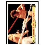 Lot of 35 1985 Topps Wrestling Cards WWF | Hogan Piper Ventura Iron Sheik & More