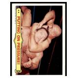 Lot of 35 1985 Topps Wrestling Cards WWF | Hogan Piper Ventura Iron Sheik & More