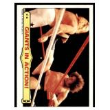 Lot of 35 1985 Topps Wrestling Cards WWF | Hogan Piper Ventura Iron Sheik & More