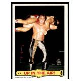 Lot of 35 1985 Topps Wrestling Cards WWF | Hogan Piper Ventura Iron Sheik & More