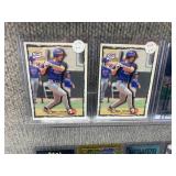 Lot of 17 Vladimir Guerrero Sheffield Grieve McGriff Giambi Pedro Martinez Nomar Garciaparra | Baseball Cards in Hard Cases