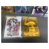 Lot of 17 Vladimir Guerrero Sheffield Grieve McGriff Giambi Pedro Martinez Nomar Garciaparra | Baseball Cards in Hard Cases