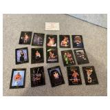 Lot of 16 1991 WCW Championship Wrestling Cards