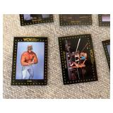 Lot of 16 1991 WCW Championship Wrestling Cards