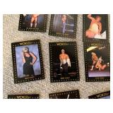 Lot of 16 1991 WCW Championship Wrestling Cards