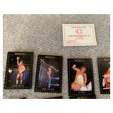 Lot of 16 1991 WCW Championship Wrestling Cards
