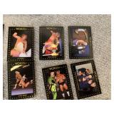 Lot of 16 1991 WCW Championship Wrestling Cards
