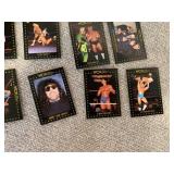 Lot of 16 1991 WCW Championship Wrestling Cards