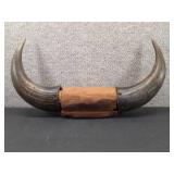 VTG Mounted Bull Horns | 17