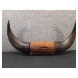 VTG Mounted Bull Horns | 17" x 8.5" x 3"
