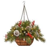 National Tree Company Pre-Lit Artificial Christmas Hanging Basket, Frosted Berry, Decorated With Frosted Pine Cones, Berry Clusters, White LED Lights, Christmas Collection, 20 Inches