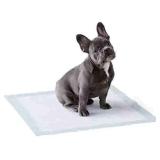 Amazon Basics Dog and Puppy Pads, Leak-proof 5-Layer Pee Pads with Quick-dry Surface for Potty Training