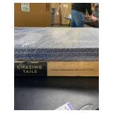 Chasing Tails Dog Ramp