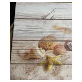 Sumgar Seashell Canvas Wall Art