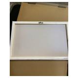 Sumgar Seashell Canvas Wall Art