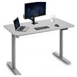 Hondesk Electric Adjustable Desk