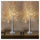 Decorative Birch Trees (SET OF 2)
