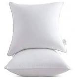 Vacuum Sealed Throw Pillow Inserts (SET OF 2)