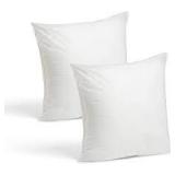 Vacuum Sealed Throw Pillow Inserts (SET OF 2)