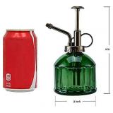 Glass Plant Mister Spray Bottle, 6.5" Tall Vintage Plant Spritzer Watering Can, Succulent Watering Bottle with Top Pump, Small Plant Sprayer Mister for Indoor Outdoor House Plant - light Green