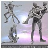 Body Kun and Body Chan Dx Set, Gray Drawing Action Figures Female and Male PVC Drawing Doll Model Figure Human Body with Joints for Artists one figure