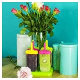 Set of 6 reusable BPA free ice cream molds with tray and sticks for children and adults