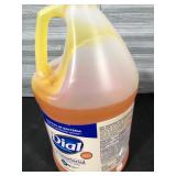 Dial Professional Gold Antimicrobial Soap, Floral Fragrance, 1gal Bottle