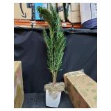 Silk Areca Palm Tree