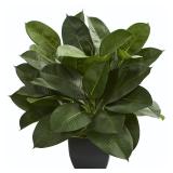 24" Faux Oak Ficus Displayed in Square Pot