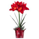 HOMESEASONS Artificial Amaryllis Arrangement