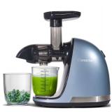 Slow Juicer Extractor Professional Machine