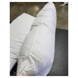 Extra Fluffy Bed Pillows (SET OF 2)