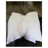 Throw Pillow Inserts (SET OF 2)