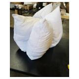 Throw Pillow Inserts (SET OF 2)