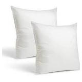 Throw Pillow Inserts (SET OF 2)
