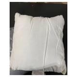 Decorative a Pillow Insert 18x18