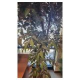 Faux Tree W/ Woven Planter