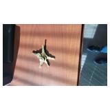 Wooden DARRAN Executive Desk